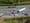 An arial view of a commercial truck involved in a crash with passenger vehicles on a highway. The truck has broken through a barrier and crossed into the opposite lanes of traffic.