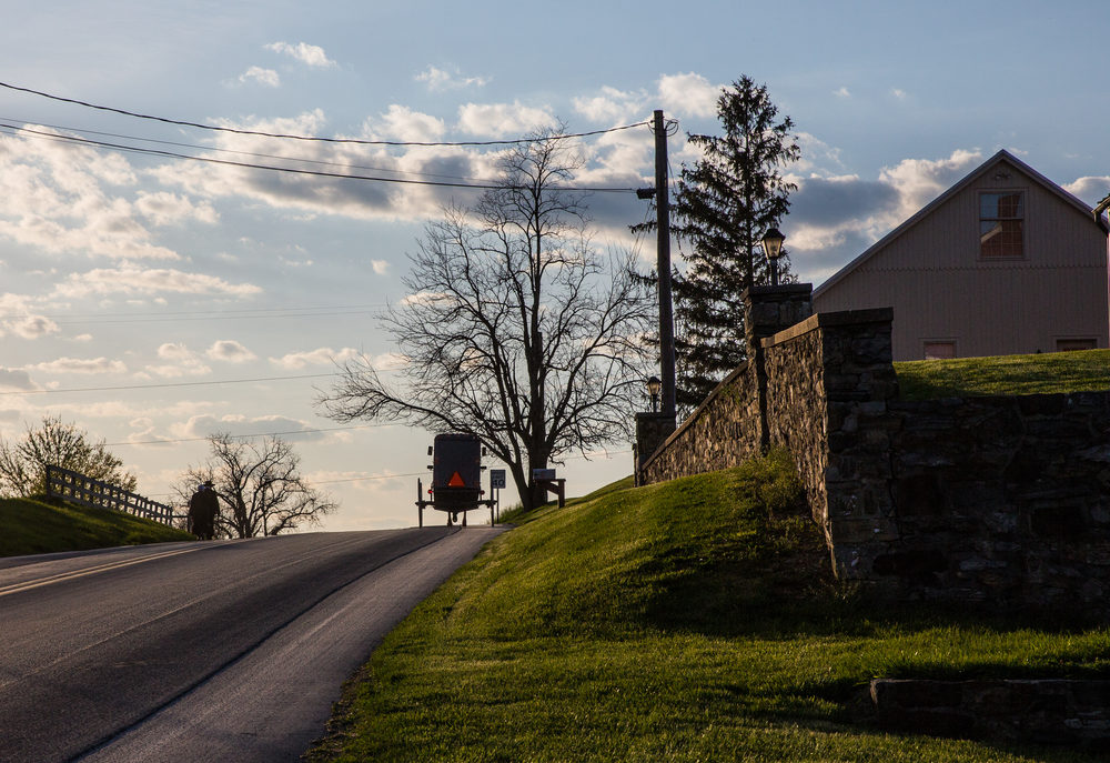Sexual Abuse Crisis in Amish Communities Amish buggy traveling up a road in rural Lancaster County Pennsylvania.