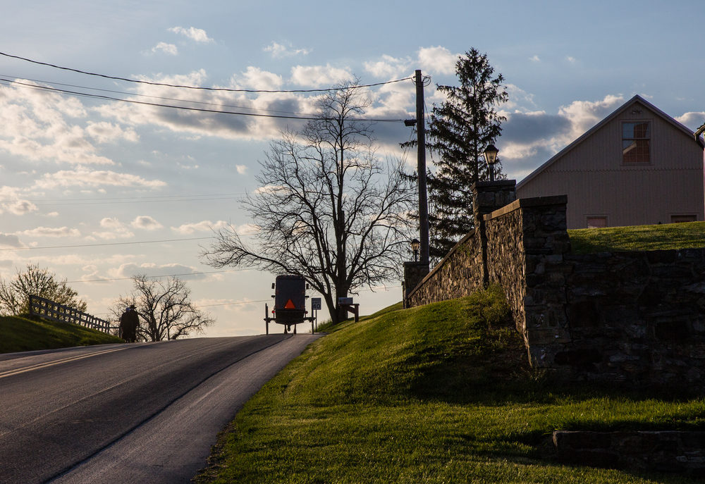 Amish buggy traveling up a road in rural Lancaster County Pennsylvania.