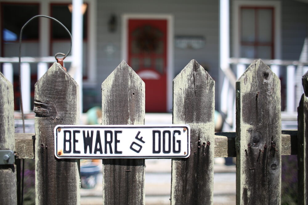 Beware of Dog sign on wooden fence outside of home