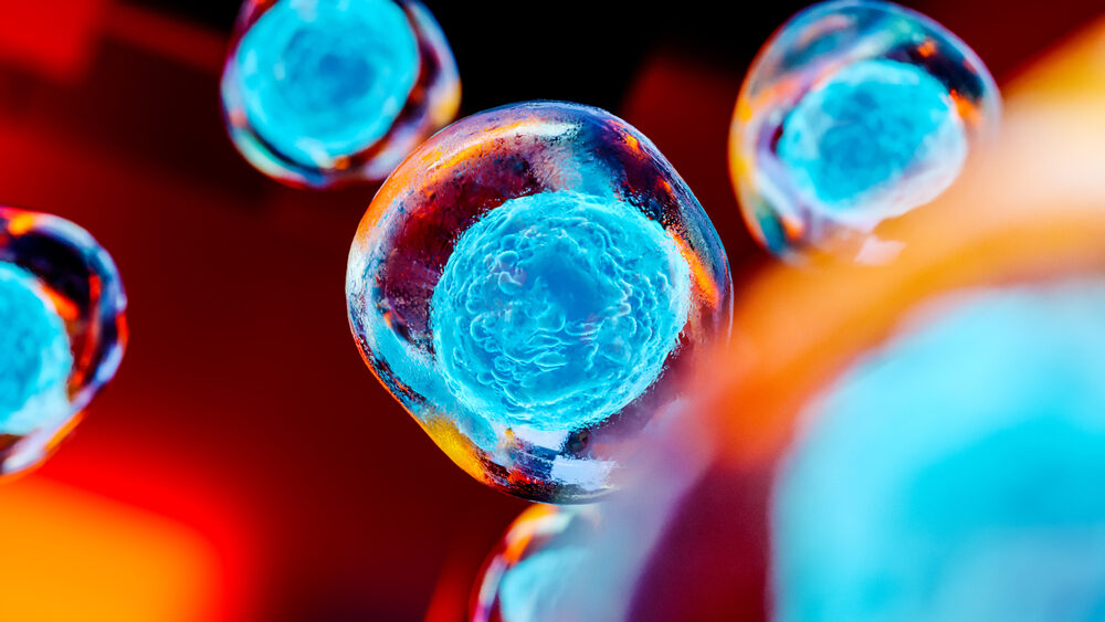 Can Stem Cells Help Treat CRPS? 3d image of embryonic stem cells, cellular therapy.