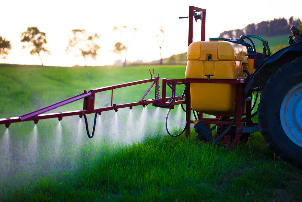 Tractor spraying wheat field with sprayer during sunset