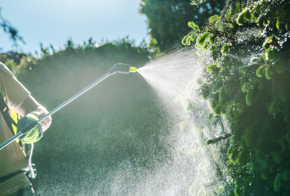 New Study Supports Claims that Paraquat Exposure May Be Linked to Parkinson’s Disease Caucasian Garden Worker with Spraying Equipment.