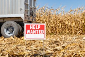 help wanted sign in corn field with tractor trailer behind
