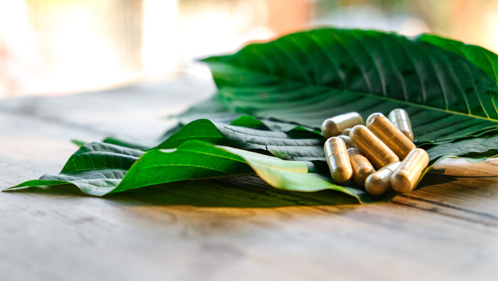 Louisiana’s Kratom Ban Signed Into Law: What Happens Next closeup view of kratom capsules laying on kratom mitragyna speciosa leaves