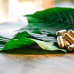 closeup view of kratom capsules laying on kratom mitragyna speciosa leaves