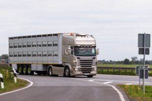 An animal transporter on the motorway