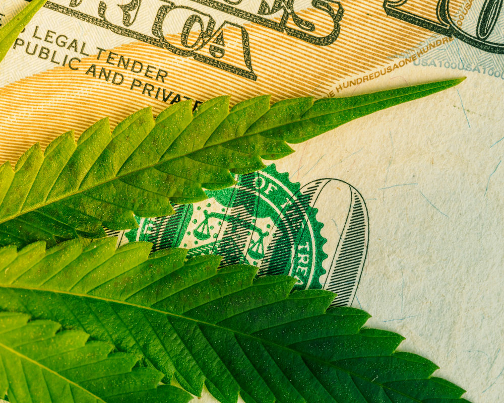 a marijuana leaf closeup on a US 100 dollar bill