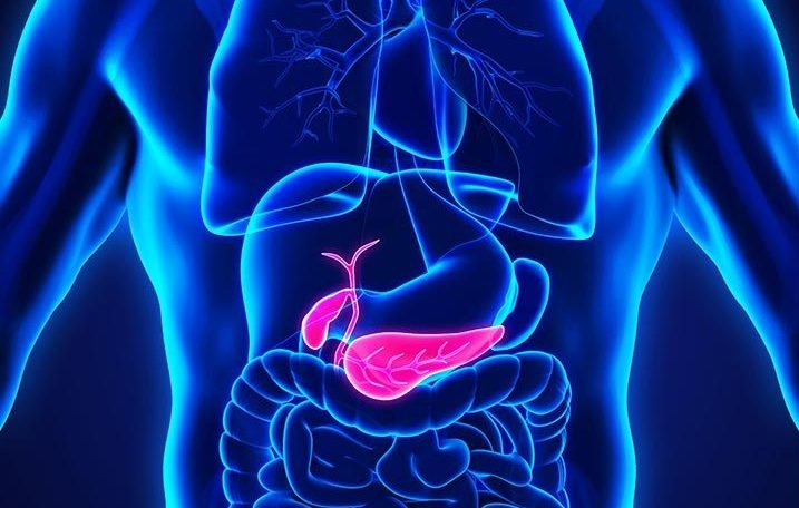 Pancreatic Cancer – Physician Study Continues
