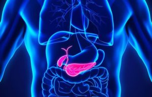 Possible New Treatment for Pancreatic Cancer