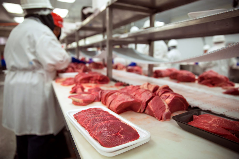 Different cuts of raw meat sit on a packaging line in a meat factory