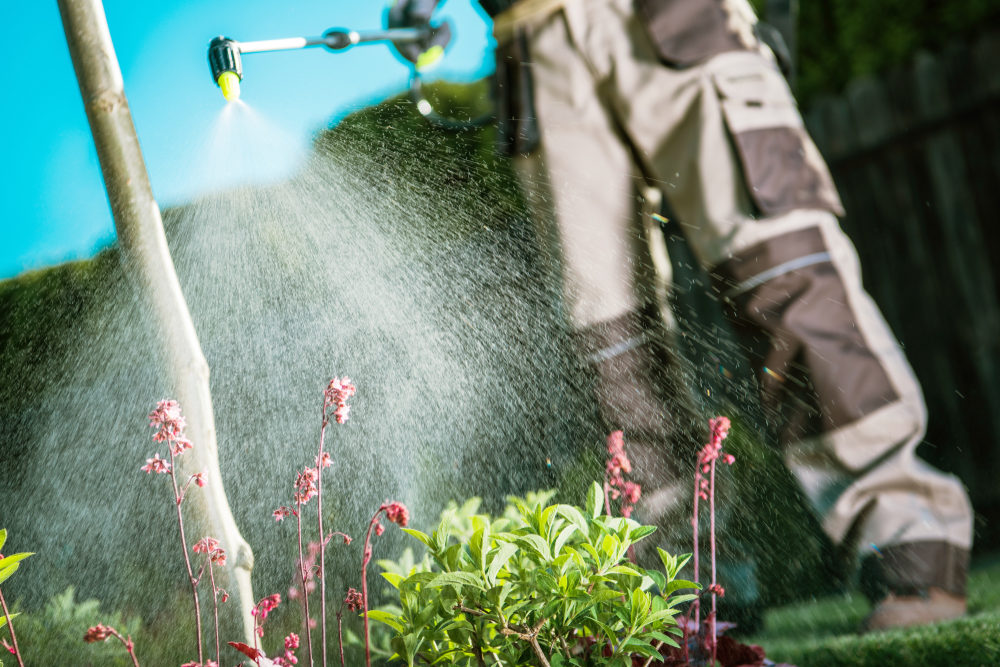 What Roundup and Paraquat Have Taught Us About Gardening Risks