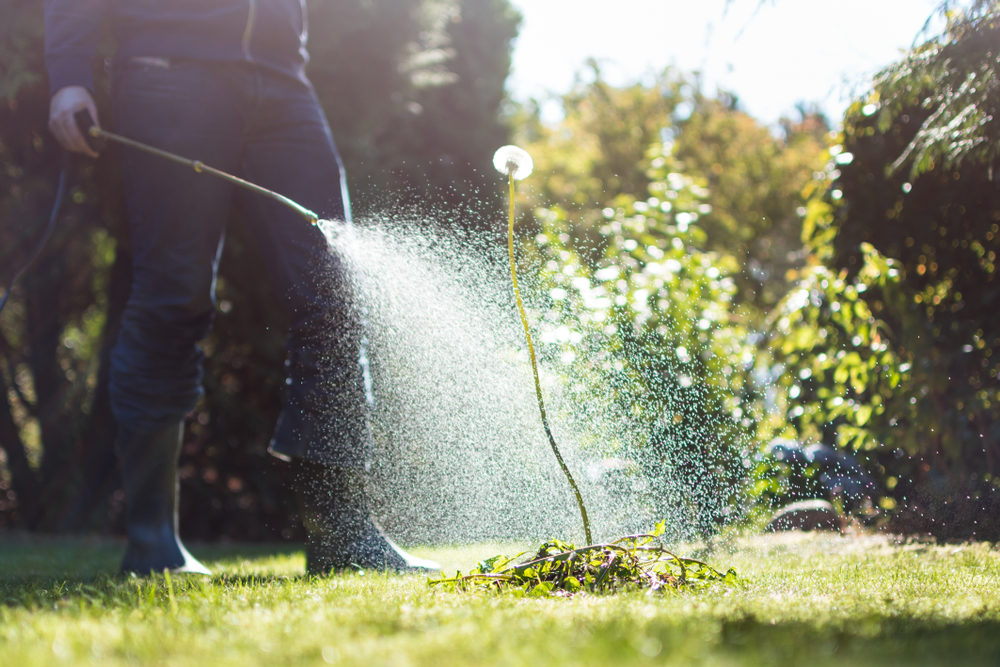 New Appeals Court Filing: Lawyers Call for Jury-awarded Punitive Damages to be Upheld in Roundup Cancer Verdict