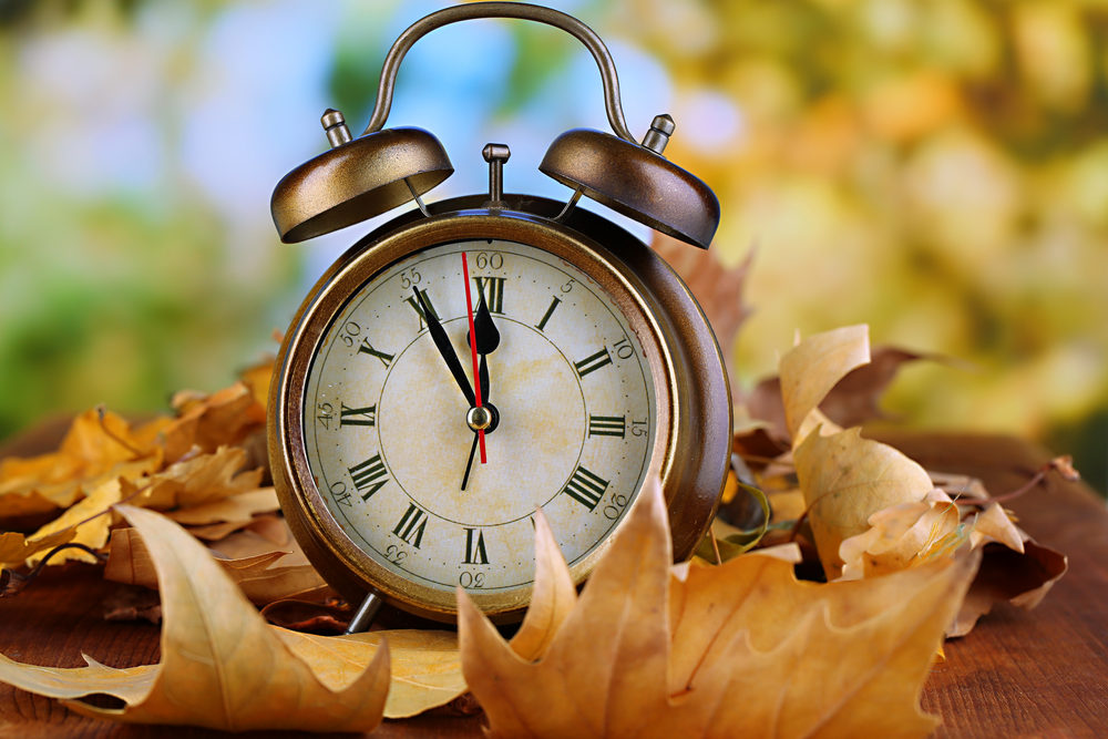 Classic alarm clock on a bed of autumn leaves