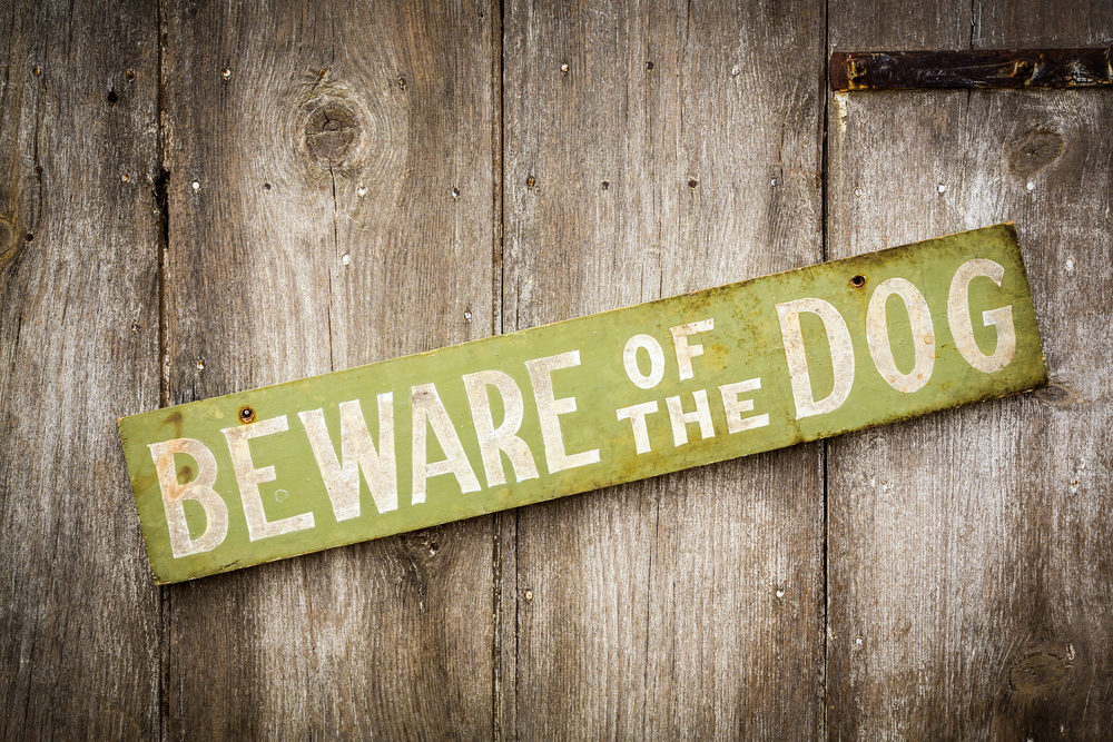 "BEWARE OF THE DOG" wooden sign on a fence