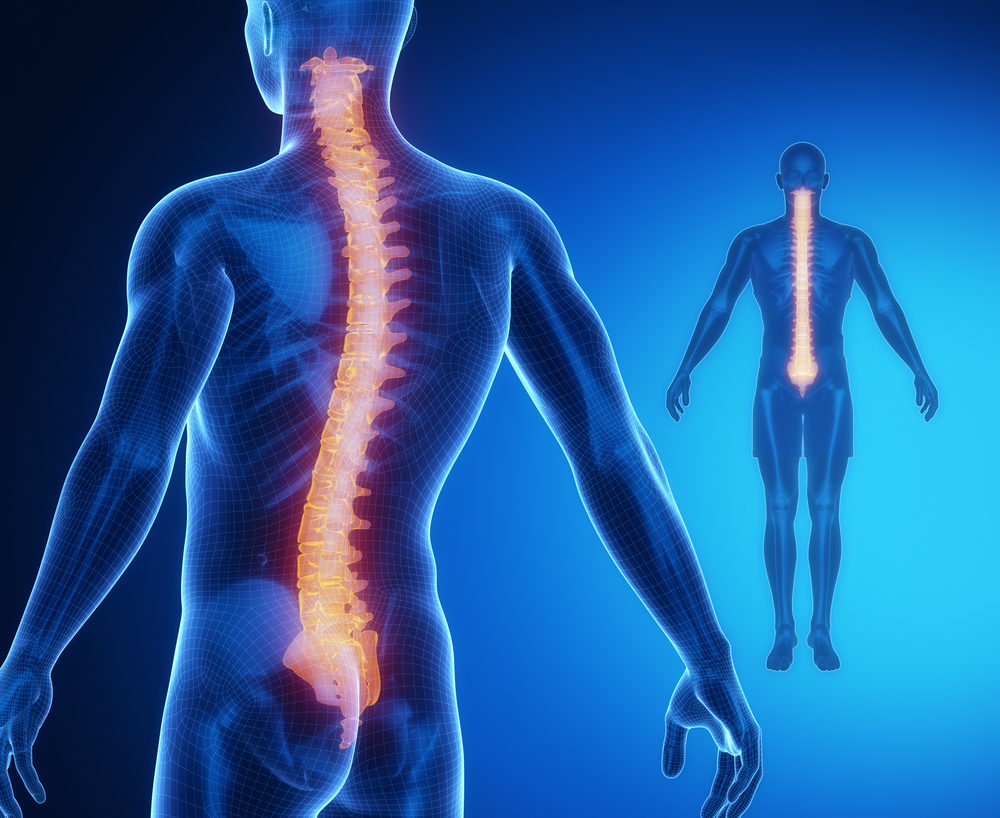 What Are My Rights After a Spinal Cord Injury?