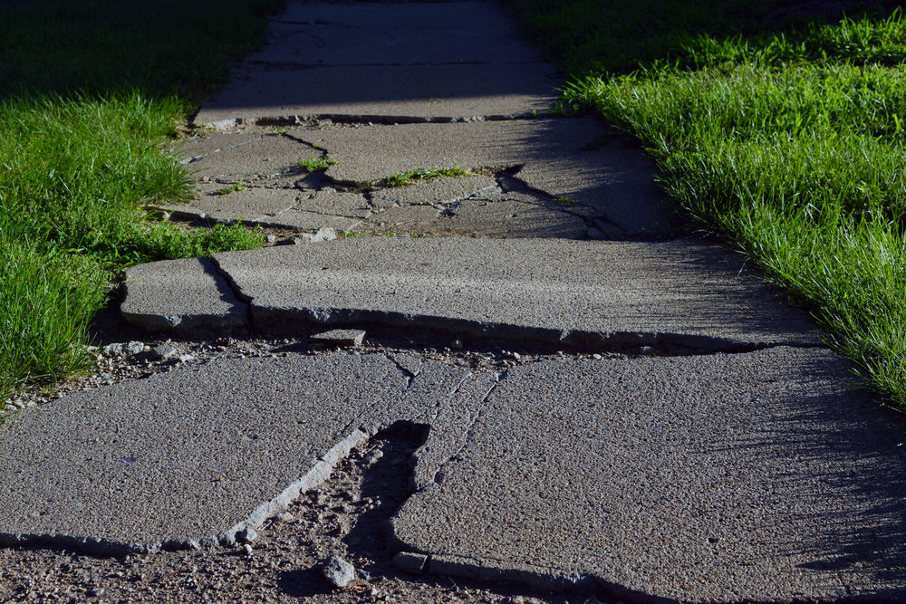 A crumbling asphalt walkway surround by long grass