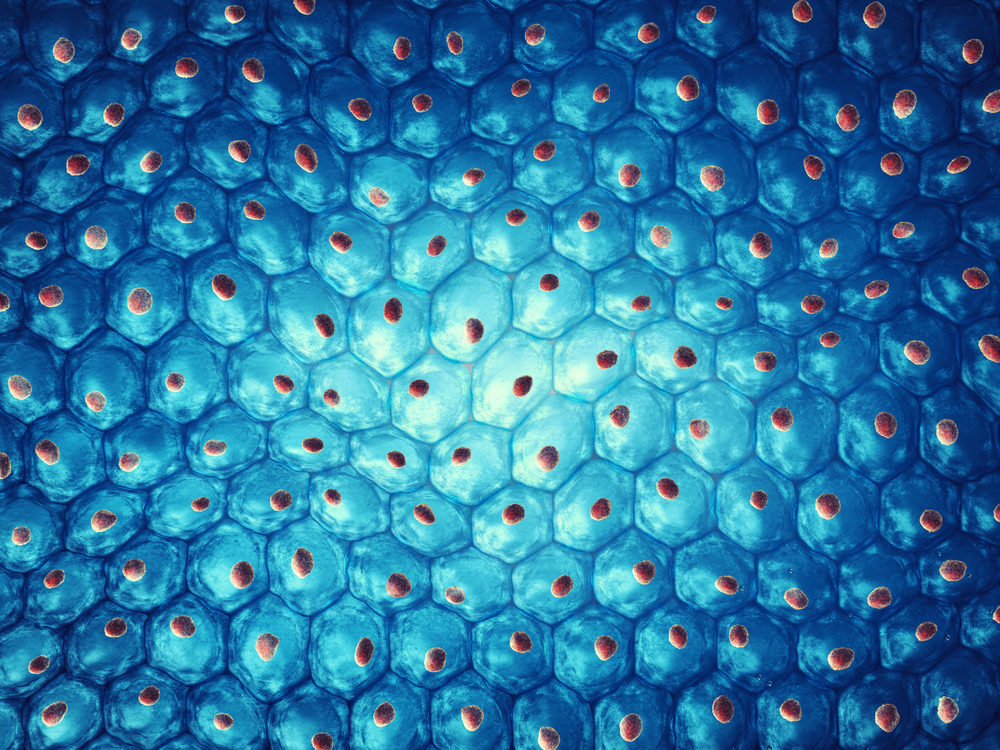 Can Stem Cell Therapy Offer Hope For Cerebral Palsy Patients? 3D rendering of an embryonic stem cell colony (cellular therapy)