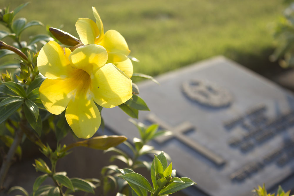 What Happens When the Plaintiff Dies After the Verdict, but Before Final Judgment? What Happens When the Plaintiff Dies After the Verdict, but Before Final Judgment?