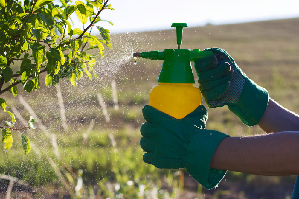 Is Bayer Heading Towards a Settlement for Roundup Cancer Lawsuits?