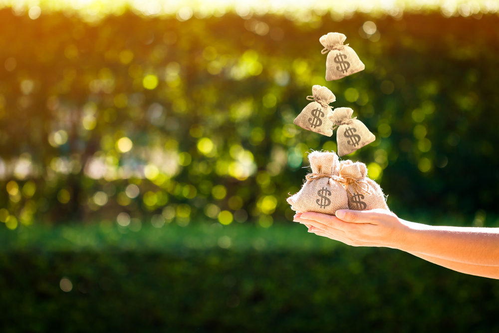 How to Buy an Annuity Small burlap sacks with a dollar sign logo fall into waiting hands