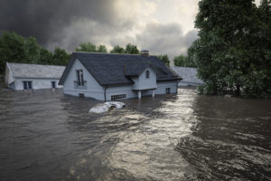Understanding Insurance Coverage for Louisiana Hurricane Wind Damage vs. Flood Damage