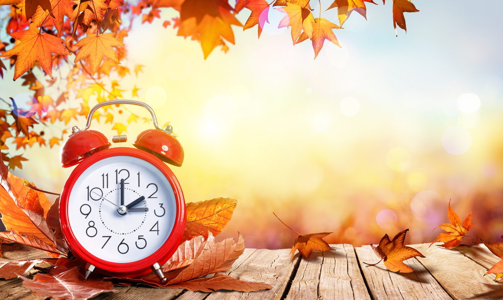 Illustration of an alarm clock against an autumn background