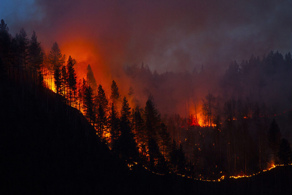 Tragic Loss: 18-Year-Old NY State Parks Employee Dariel Vasquez Dies While Battling Wildfire in Sterling Forest Trees on a hillside burn at night