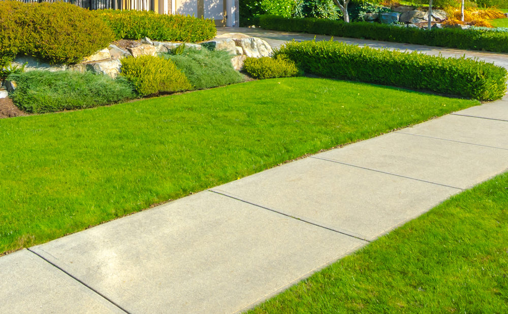 A sidewalk running through a well maintained green lawn in a suburban neighborhood