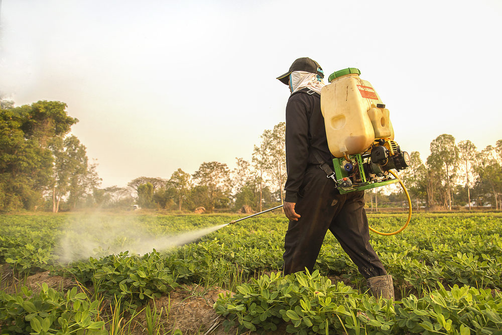 Farmer spraying pesticide during sunset time