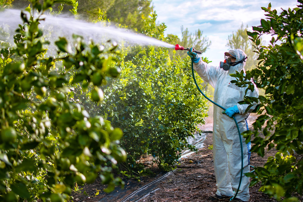 Farmer in protective clothes spray pesticides.