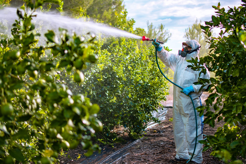 Minnesota Man Blames Paraquat for His Parkinson’s Disease Farmer in protective clothes spray pesticides.