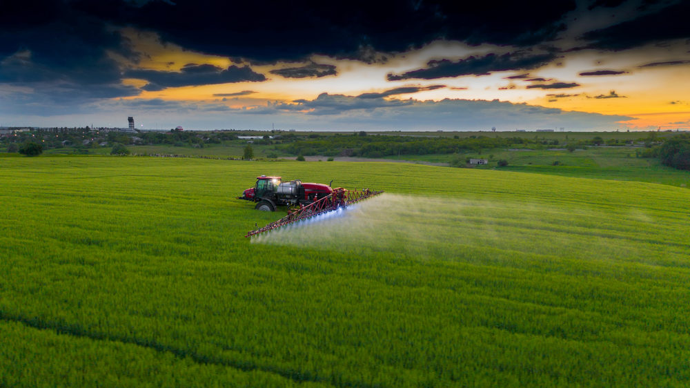 Aerial view of a tractor that irrigates the field with a young, fresh potato at sunset.