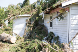 A storm causes a white tree to fall and rip through the roof of a house.
