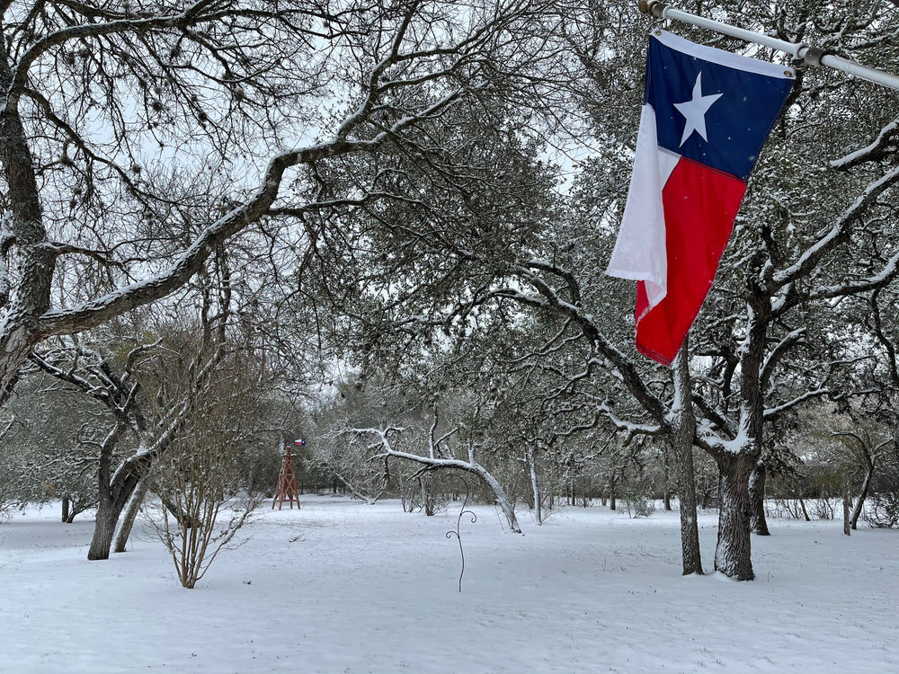 Texas Snow Storm Tragedy: Who Is Responsible for the Lives Lost? Texas flag against snowy landscape background