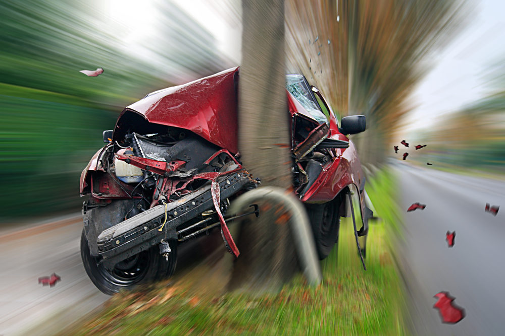 closeup of car crashed into a tree with blurred background