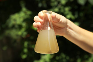 Female hand holding flask with contaminated water on blurred nature background