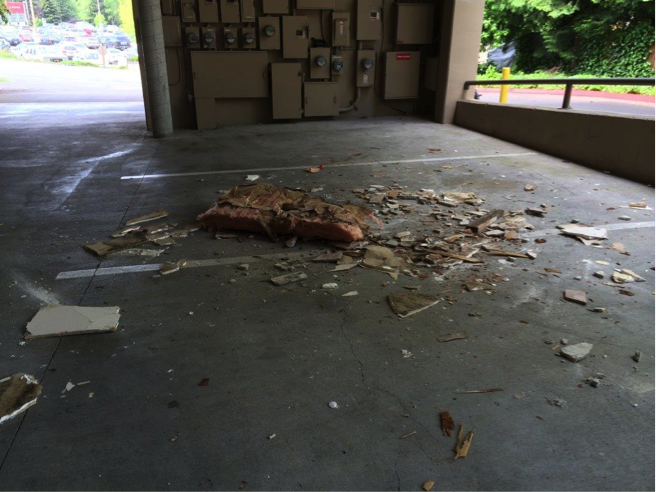 Garage_Floor_ColuccioLaw_Investigation
