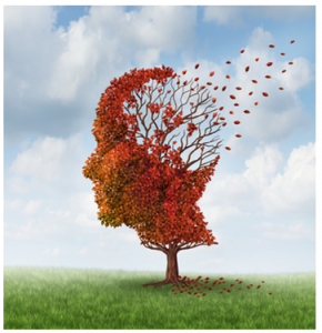 Older Drivers and Memory