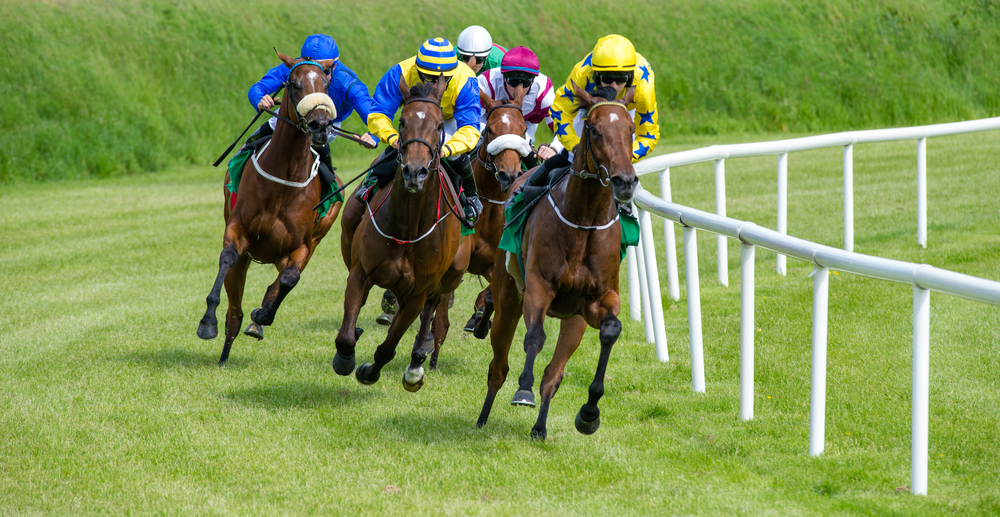 galloping race horses in racing competition