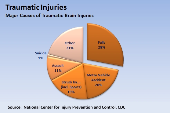 Chart: Major Causes of Traumatic Brain Injuries