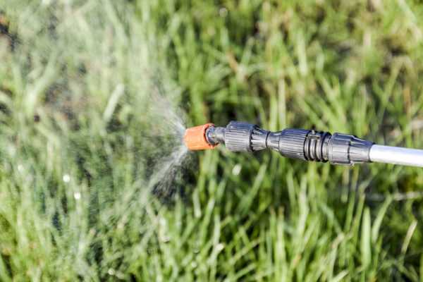Toxic herbicide being sprayed onto a green lawn