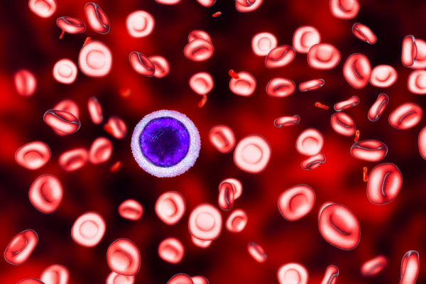 Iron deficiency anemia, 3D illustration showing small hypochromic red blood cells, anisocytosis.