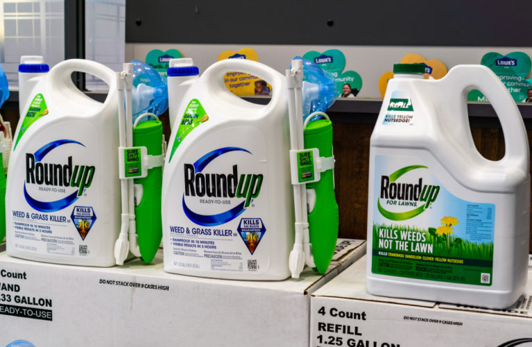 RoundUp weed killer on a store shelf