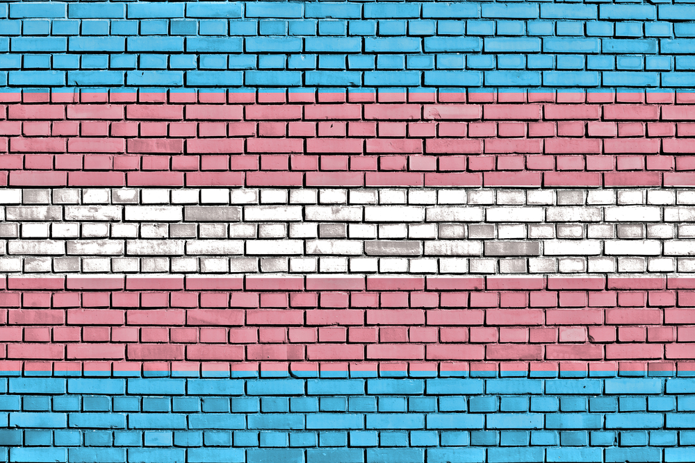 Transgender Pride flag painted on brick wall