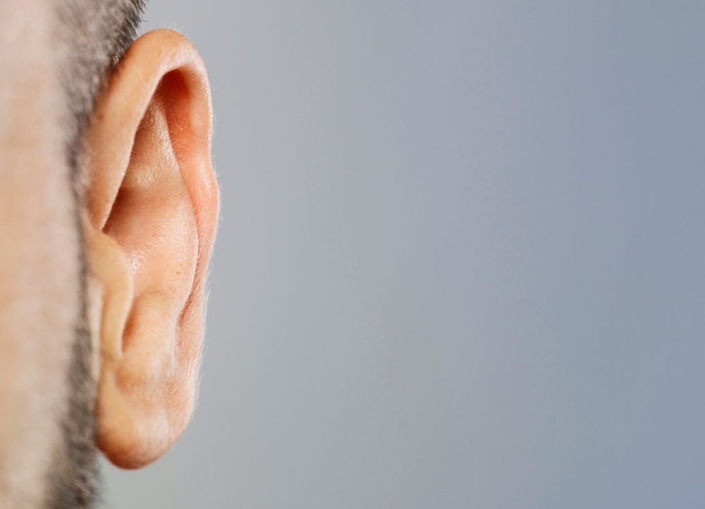 human ear closeup macro shot