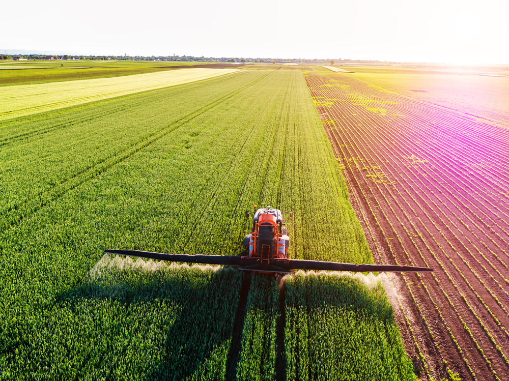 Farmer spraying green wheat field