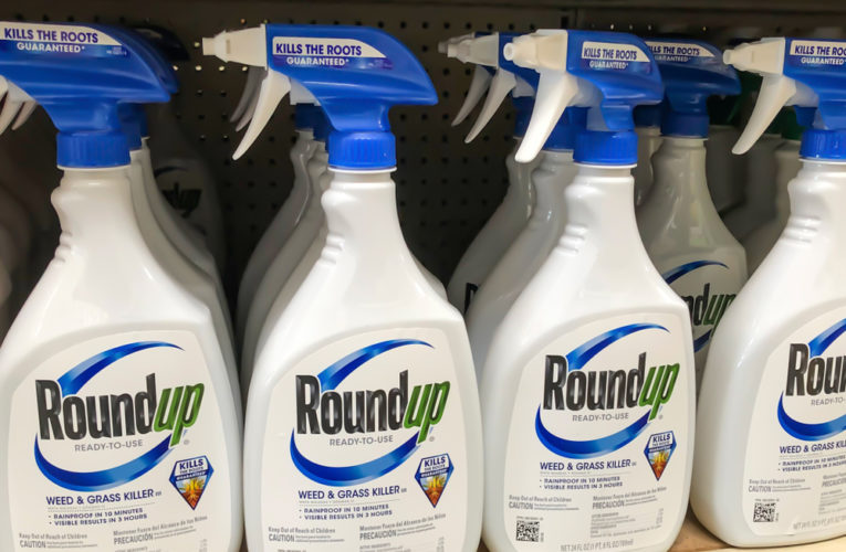 roundup spray bottles on aa store shelf