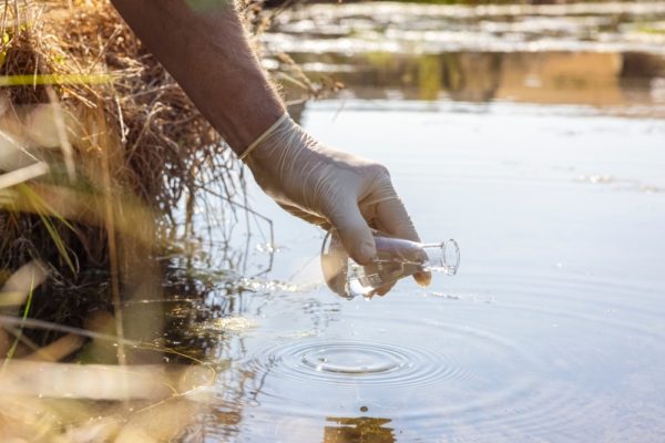 Water sample and purity analysis test, liquid in laboratory glassware testing for pollution,