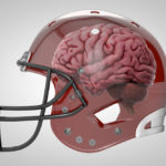 3D Rendering of Football Helmet showing brain inside
